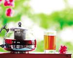 海南岛所产的茶品中，茶多酚含量最高