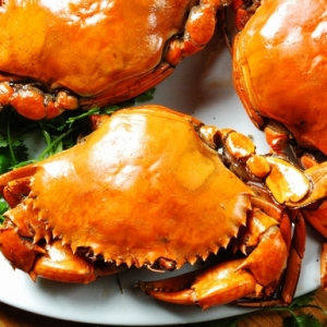 品种繁多的海南三亚美食海鲜之蟹类