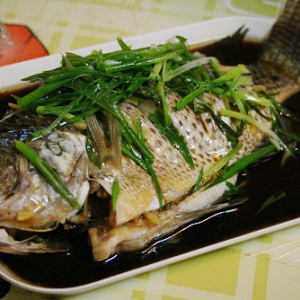 五指山福寿鱼 肉质鲜美口感极佳