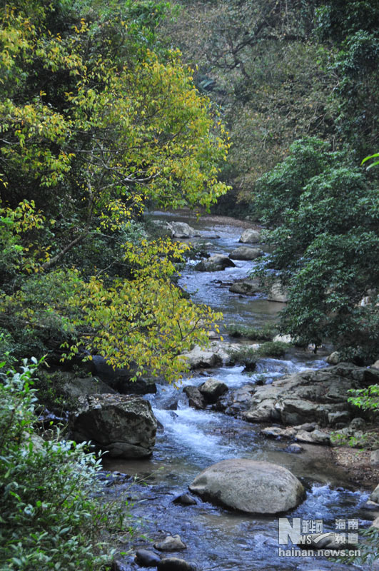 通往海南五指山国家级自然保护区德满保护站路途中的一条溪流。（12月17日摄）