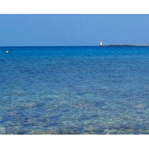实拍西沙永兴岛秀美风光 海水清澈，风光旖旎