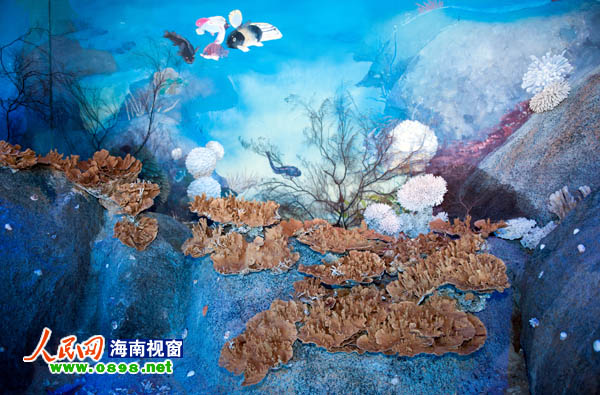 游客可以观赏到120多种、数量达上万个的珊瑚标本与活体珊瑚以及其它海洋生物