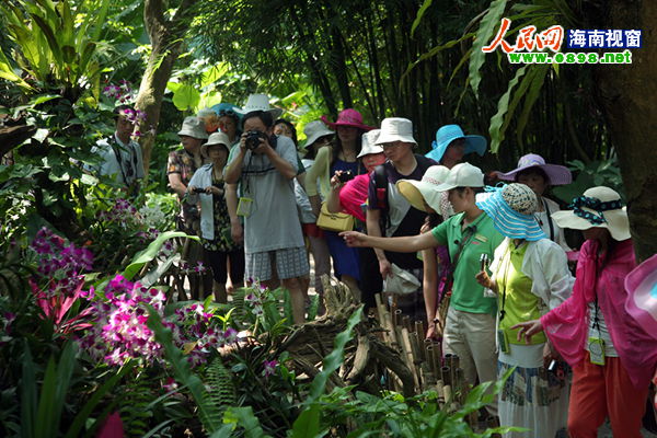 在兰花溪景观区游客聚集听导游讲解