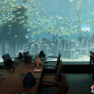 用餐时赏海底风光 体验三亚酒店海底餐厅
