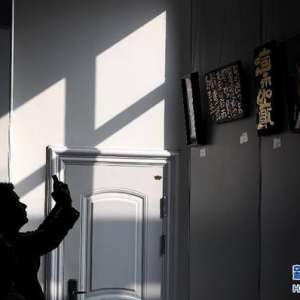日本刻字展在海南省图书馆举行 展200幅作品