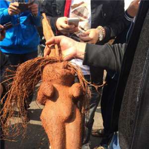 海口一男子街头5000元叫卖“人形树根”引围观