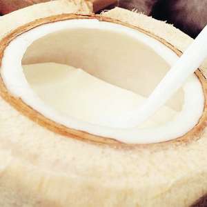 海南椰冻：椰子与奶酪“混搭”的美味