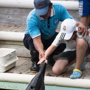 游客在分界洲岛旅游区与海豚亲密接触