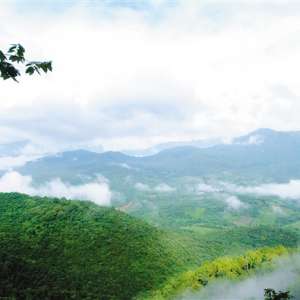 昌江霸王岭热带雨林：山脉中的隐逸世界