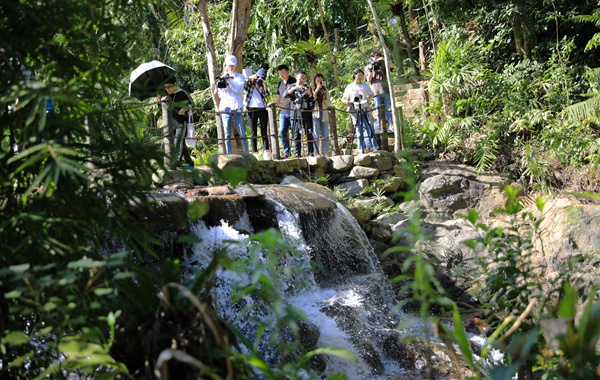 琼中百花岭热带雨林文化旅游区获评4A级景区